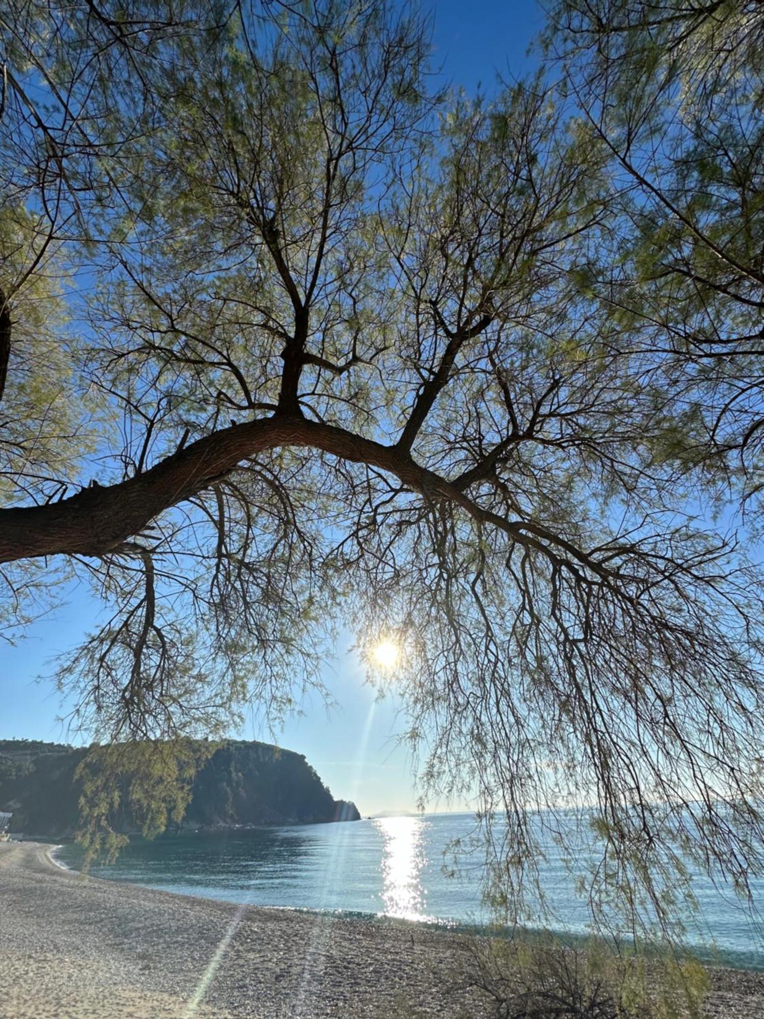 Hotel Potami Seashell Himare Esterno foto